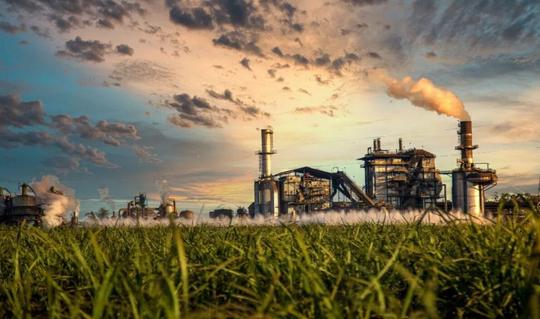 El despertar de la bioenergía en los centrales azucareros venezolanos