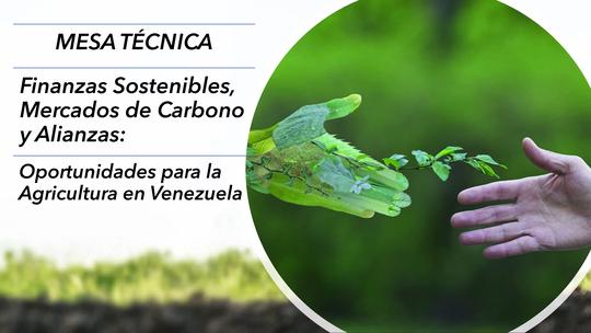 Encuentro virtual realizado el pasado 29 de marzo de 2023