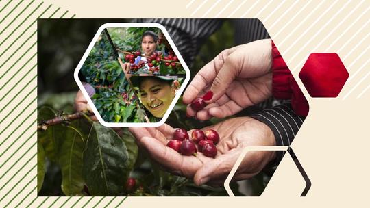 LAS MUJERES PUEDEN AYUDAR A GARANTIZAR QUE LA INDUSTRIA CAFETALERA VENEZOLANA SEA SOSTENIBLE