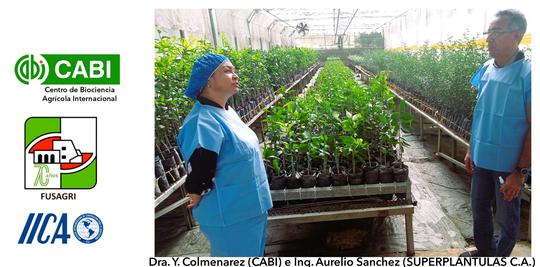 AVANZANDO HACIA LA NUEVA CITRICULTURA EN VENEZUELA