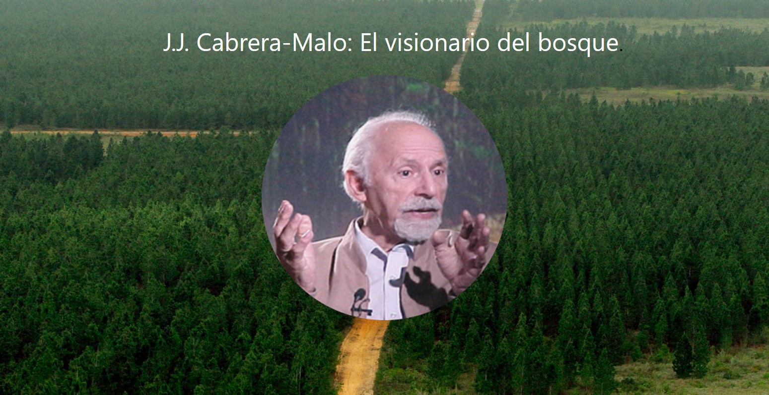 UVERITO, FUTURO VERDE DE VENEZUELA | FUSAGRI