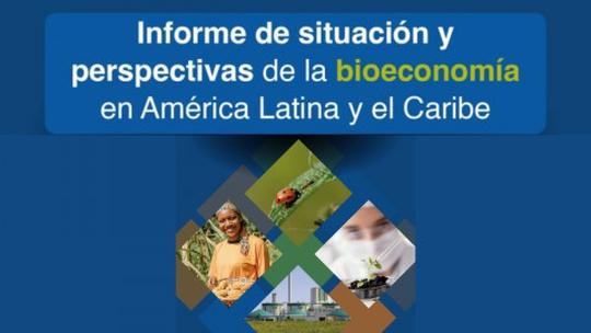 Informe de situación y perspectivas de la bioeconomía en América Latina y el Caribe