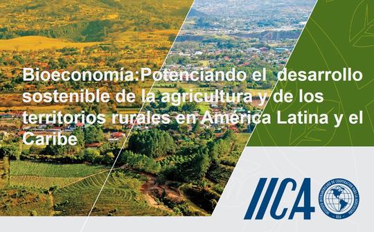 Bioeconomía: Potenciando el desarrollo sostenible de la agricultura y de los territorios rurales en América Latina y el Caribe (Video)