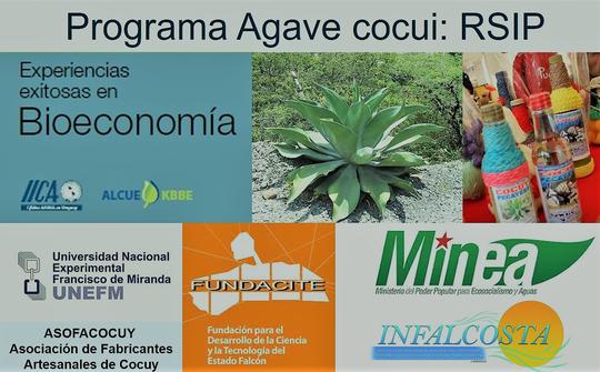 Programa Agave cocui (Pecaya, Municipio Sucre, Estado Falcón)