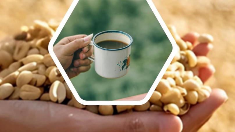 Del sol a la taza: Transformando el café venezolano