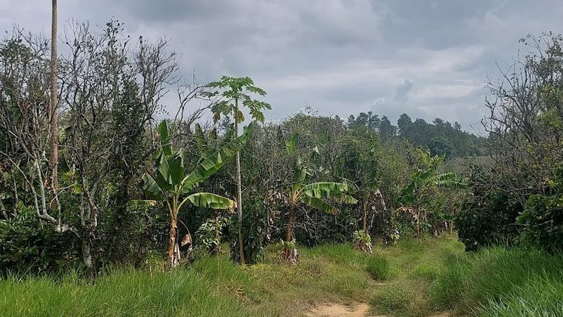 Delegación de expertos visitó el occidente de Carabobo para evaluar los efectos del Dragón Amarillo.