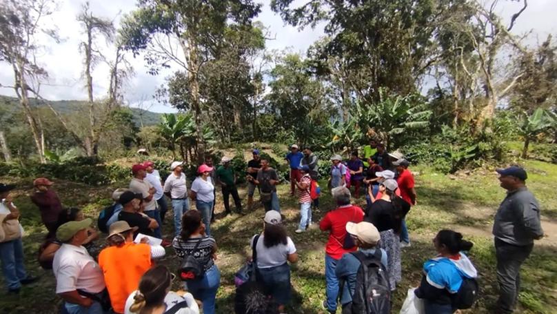 Caficultoras larenses lideran adaptación climática del café en Venezuela