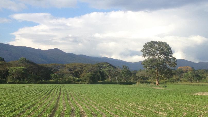 La agricultura venezolana para los nuevos tiempos