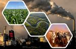Sistema Agroalimentario. Emisiones, Acción Climática, Sector Privado y Financiamiento