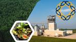 Agroforestería y Bioeconomía Circular para la transformación sostenible del Sistema Agroalimentario Venezolano (SAV)