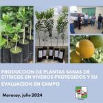 🍊 Producción de plantas sanas de cítricos en viveros protegidos y su evaluación en campo🍊