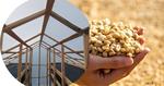 Manual práctico de construcción y uso de secadores solares para café